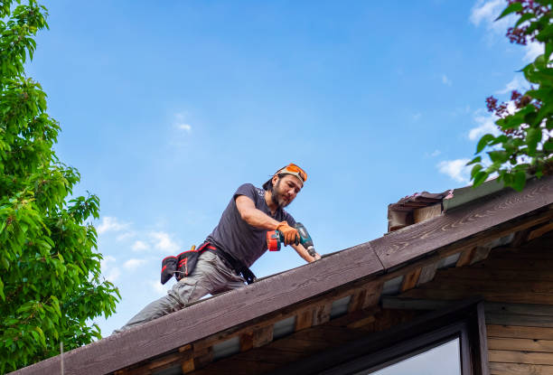 Best Roof Ventilation Installation  in Romeo, MI